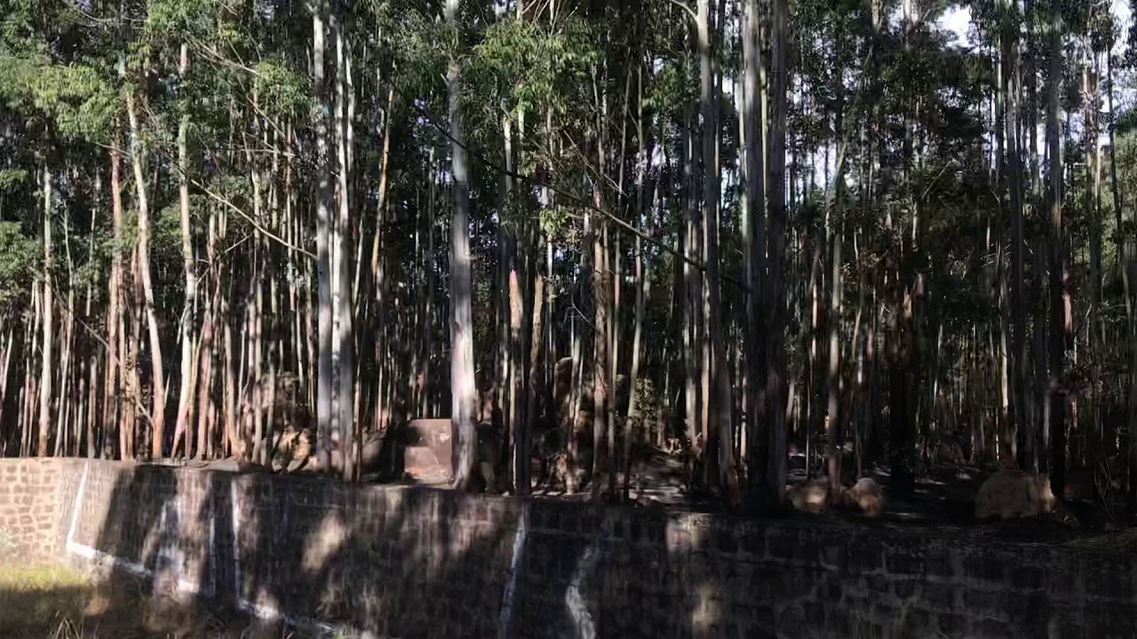 Piscin&atilde;o dos Deuses na Serra das Cabras