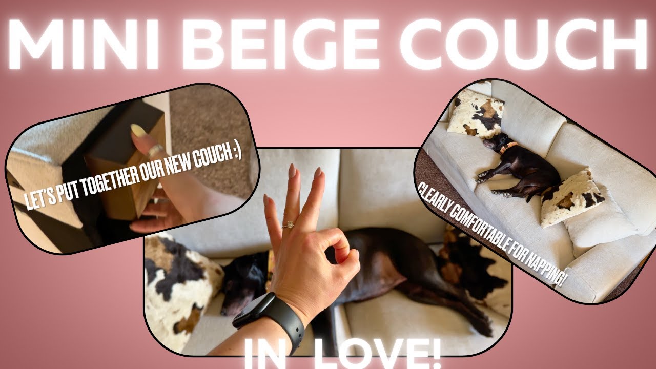 Obsessed w/ our new 71 inch mini couch! Look how perfect!! #amazonhiddengems #minicouch #perfectsize