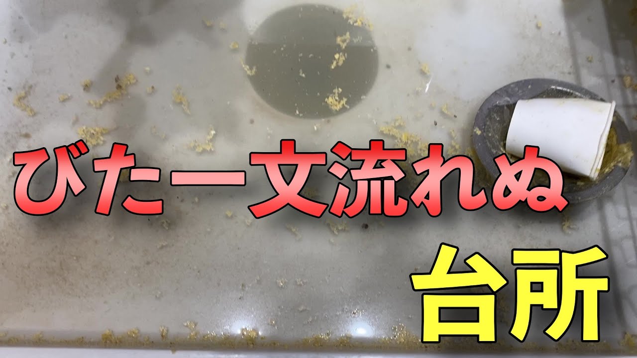 【高圧洗浄】どうしよう！？まったく流れない！HELP！！【Drain Unblocking】【花のお掃除 #27】
