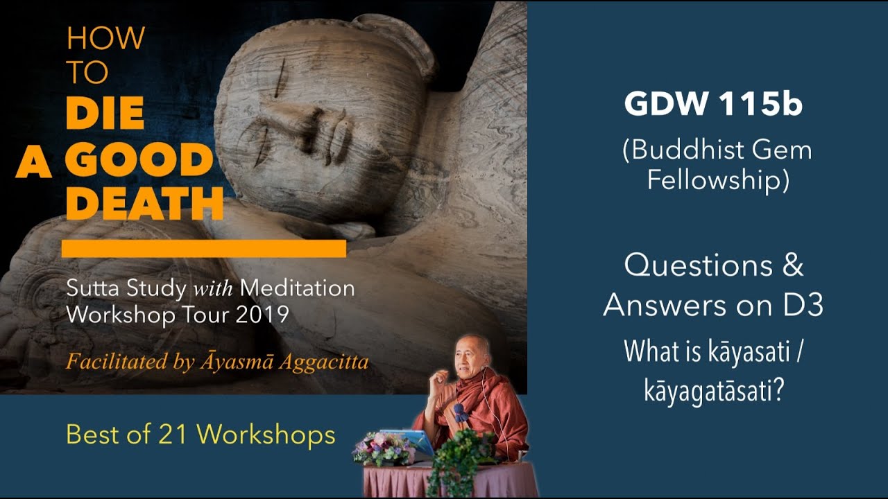 GDW 115b Q&A on D3 BGF