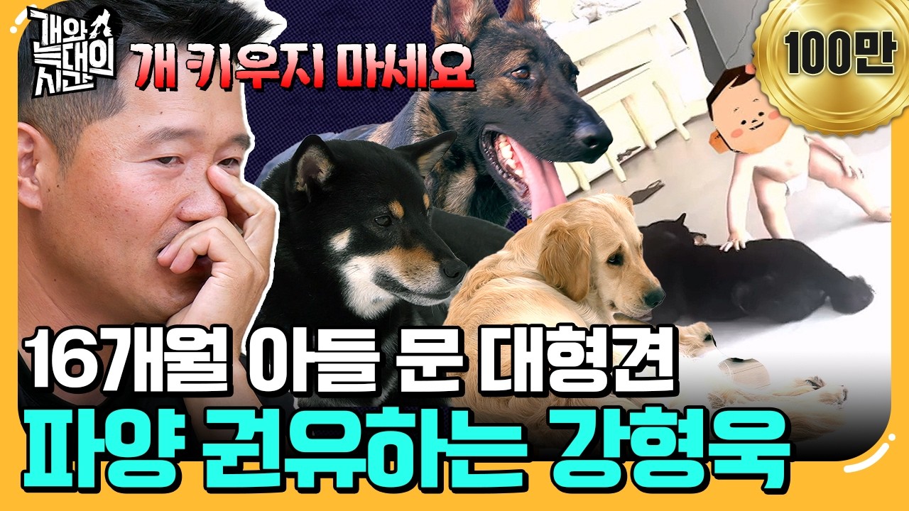 [#에이팅] 16개월 아들보다 개 3마리가 더 소중하다? 강형욱이 파양까지 권유한 이유🔥 | #개와늑대의시간 6회