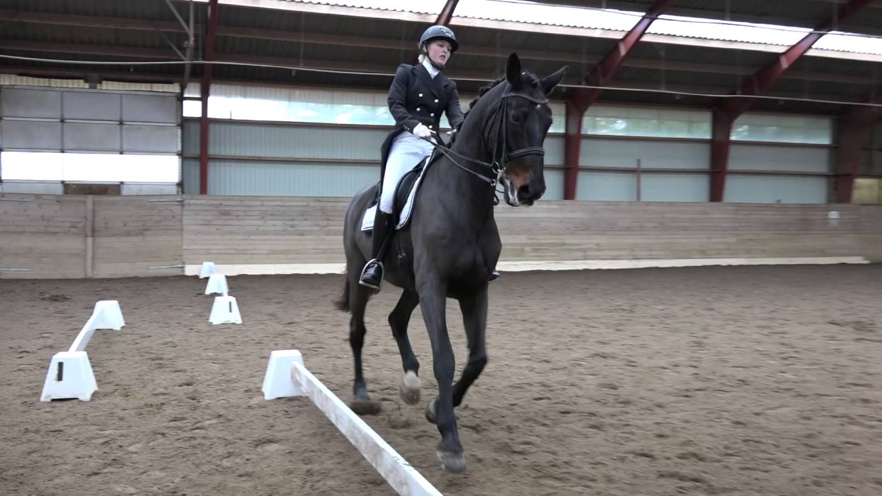 2016 10 16 Katrine og Pisling MA1