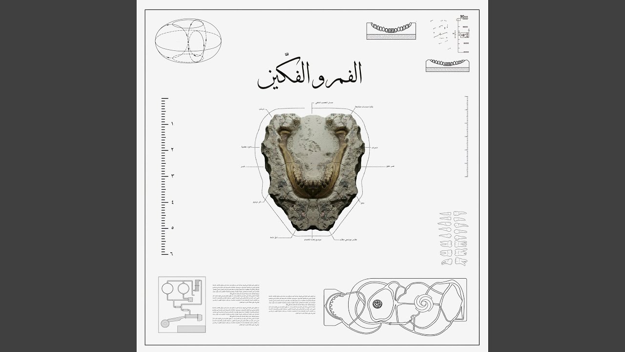 Ainbaal II