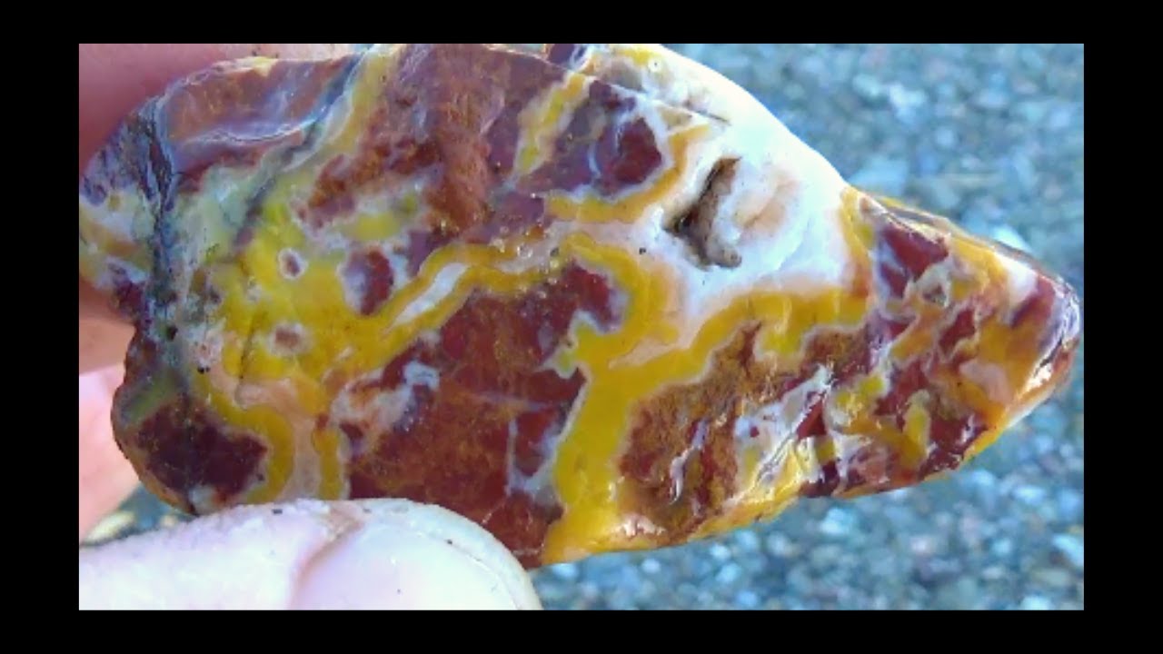 Crazy Jasper Agate ! Rockhounding Fire Dragons Quest 4 Treasure # 540 By : Quest For Details