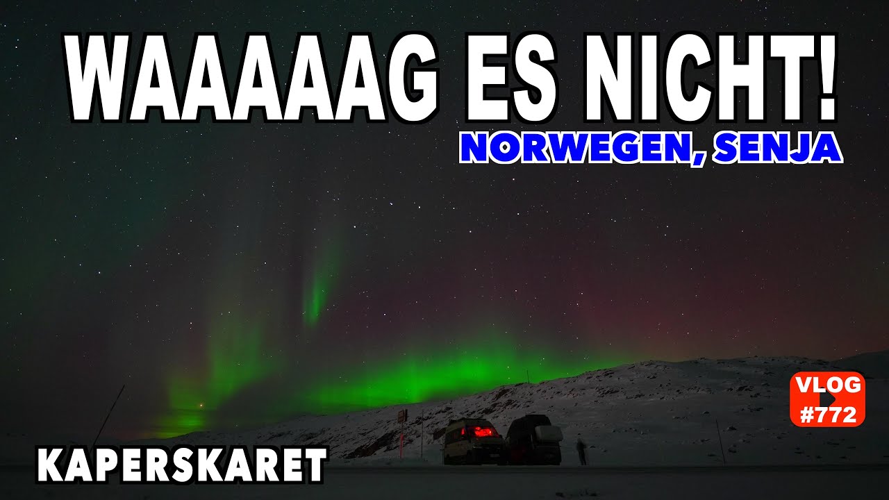 #772 Wir gehen auf die Jagd | Flakstadvåg | Traumtag & Polarlichter | Mutiger Hund? Senja