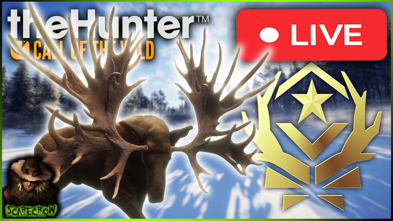 🔴LIVE🔴 3 Great One Moose Down! Lets Get One With A Fur Next! Call of the wild
