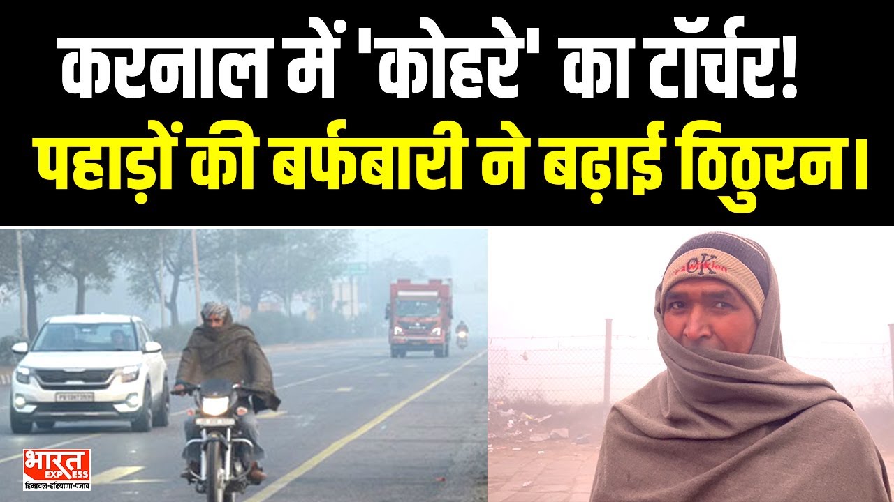 Weather Update: करनाल में घने कोहरे से जनजीवन अस्त-व्यस्त, फसलों और पशुओं पर मंडराया संकट!
