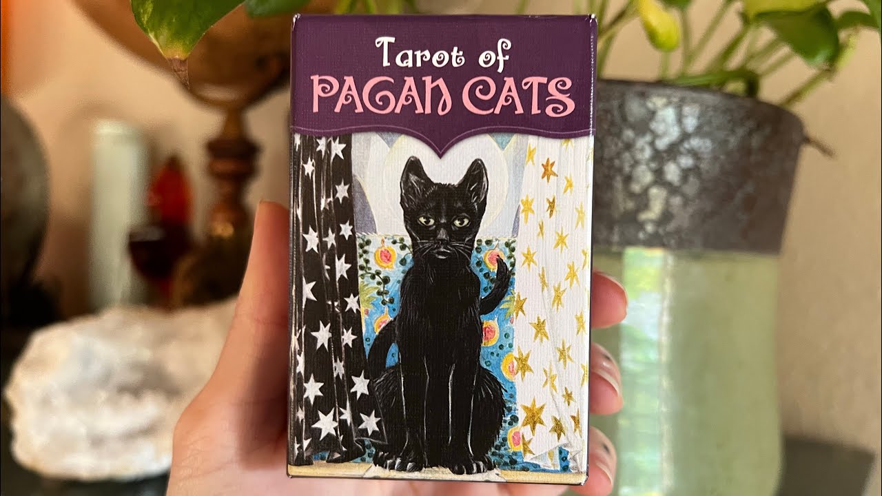 “Tarot of Pagan Cats” Mini Tarot Deck Unboxing & Walkthrough