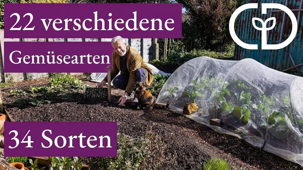 Kleiner Garten, große Vielfalt – So planst du Ernten das ganze Jahr über