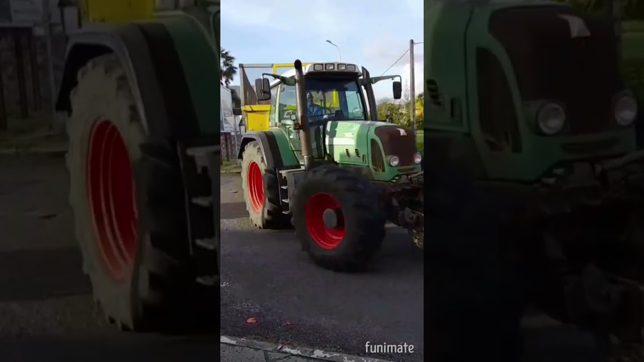 Récolte sucrière de guadeloupe
