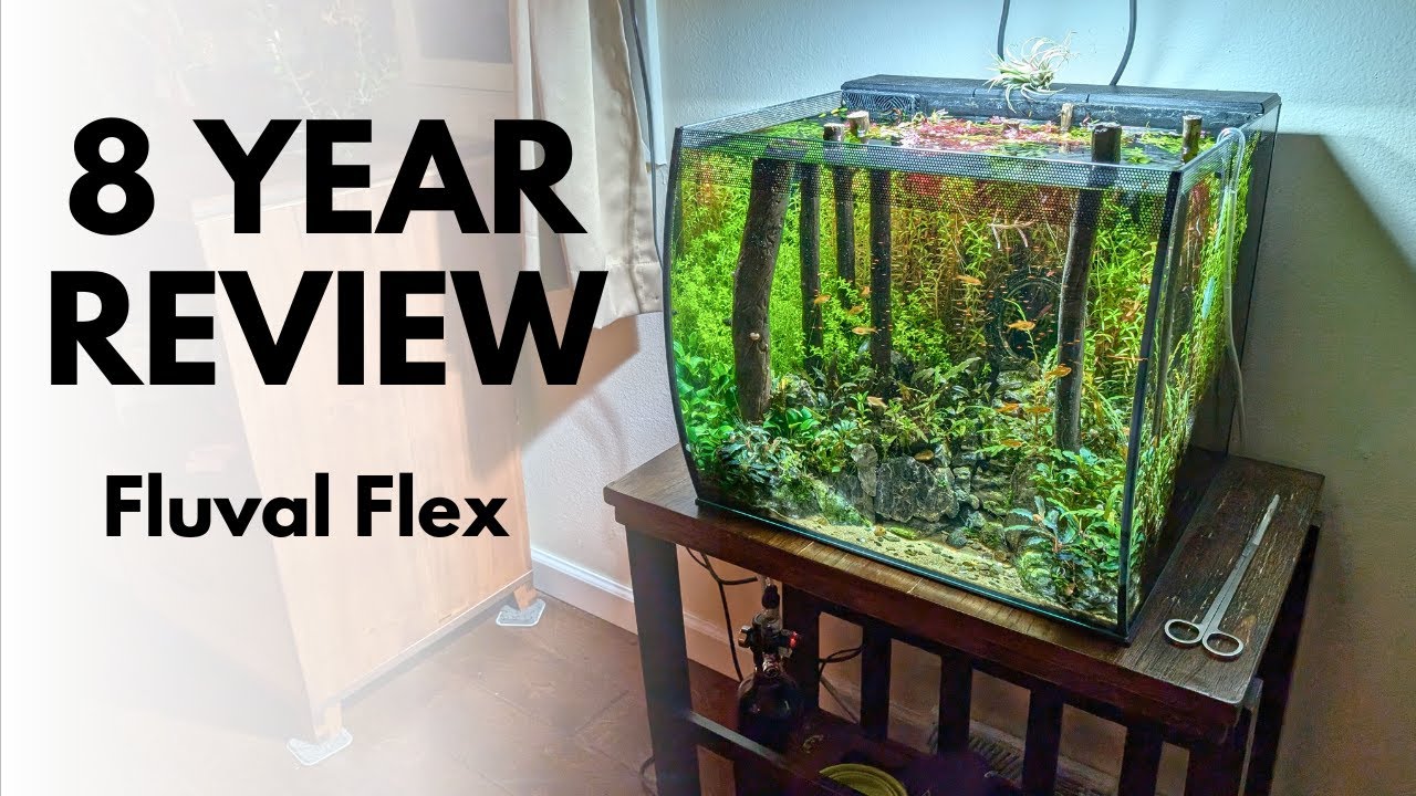 REVIEW: Is the Fluval Flex 15 Gallon Really Worth It After 8 Years of Use?
