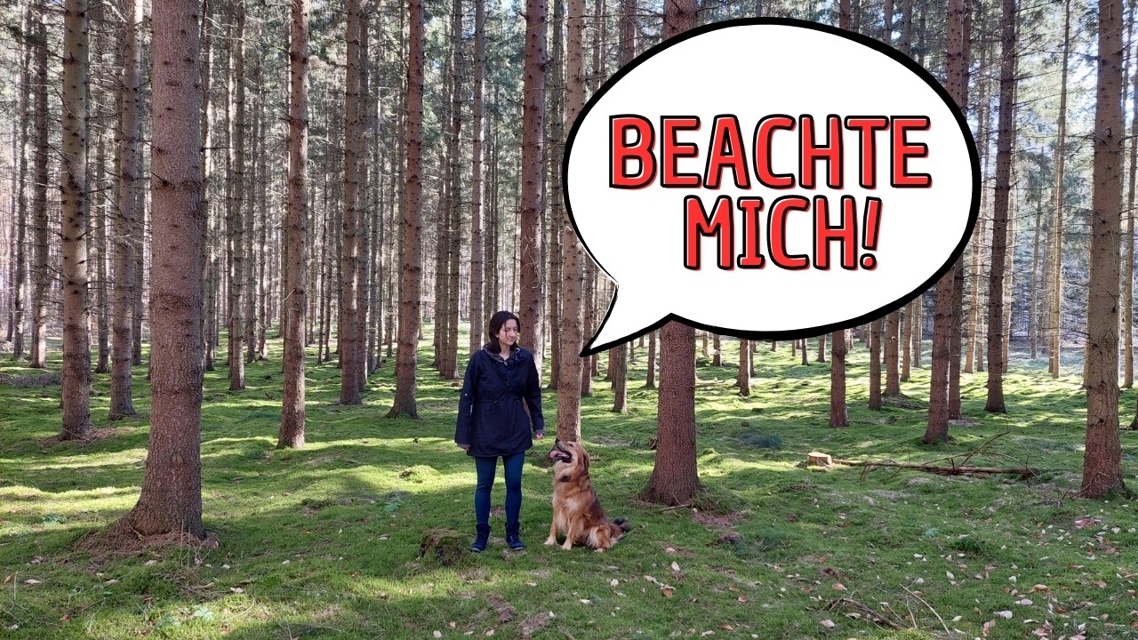 Gib mir deine Aufmerksamkeit!