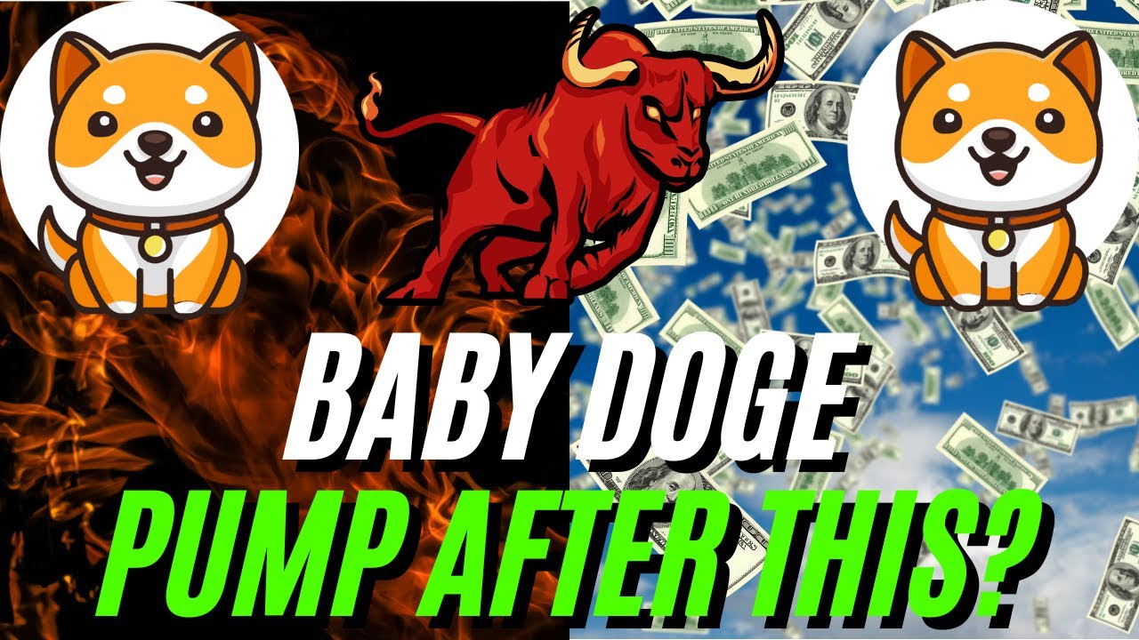 ATTENTION BABY DOGE HOLDERS: What Happens Next Is CRUCIAL!