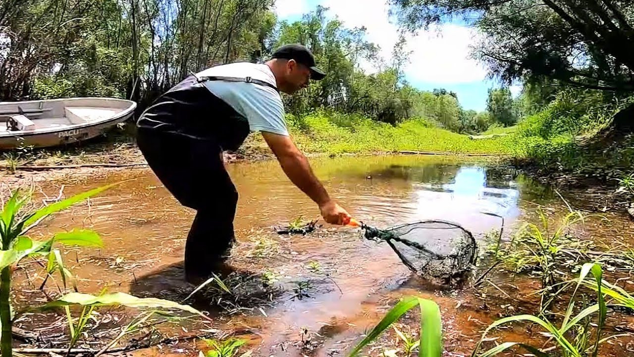 Exploro la isla y recolecto peces para pecera gigante. ACUARIO URBANO, PESCA URBANA
