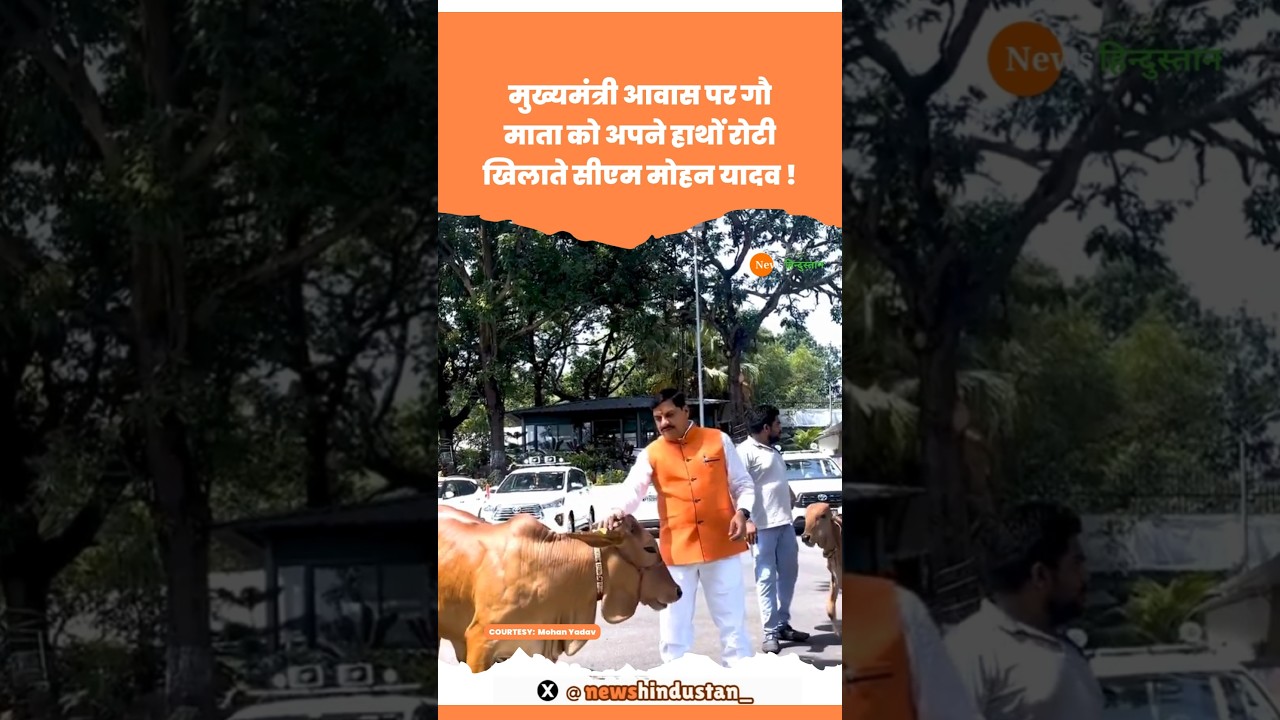 Bhopal CM House पर गौ माता को रोटी खिलाते CM Mohan Yadav #mohanyadav #madhyapradesh #viralvideo
