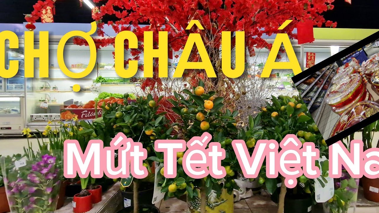 Cuộc sống PHÁP/Đi chơ Châu Á  ở  Pháp 🇨🇵gặp nhiều bánh mứt Tết Việt Nam/Có cây tắc như ở Việt Nam 🇻🇳