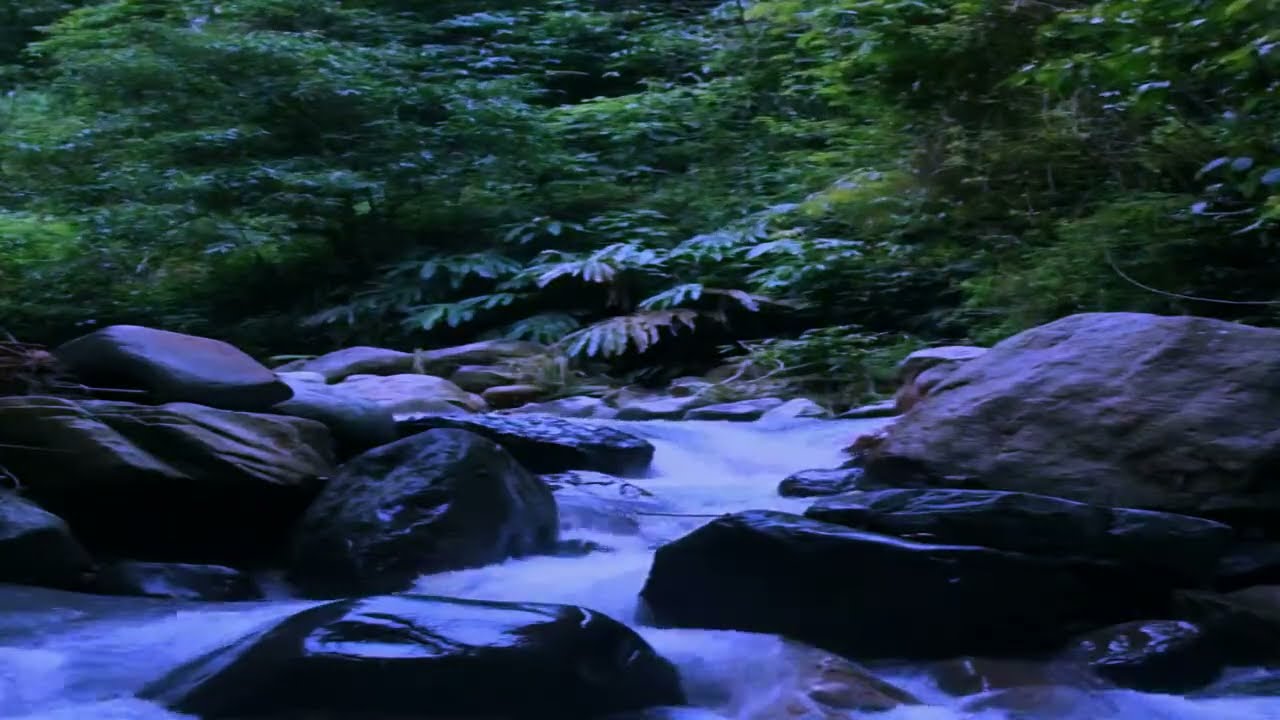 Piano Music And Water Sounds For Deep Relaxation | Peaceful Mind Melodies