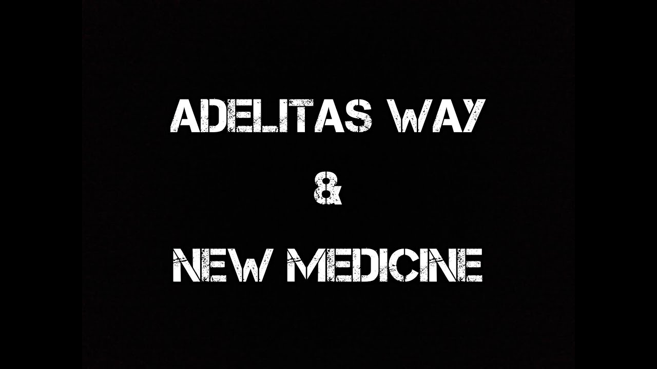 Adelitas Way & New Medicine ~ Own It ~ Lyrics