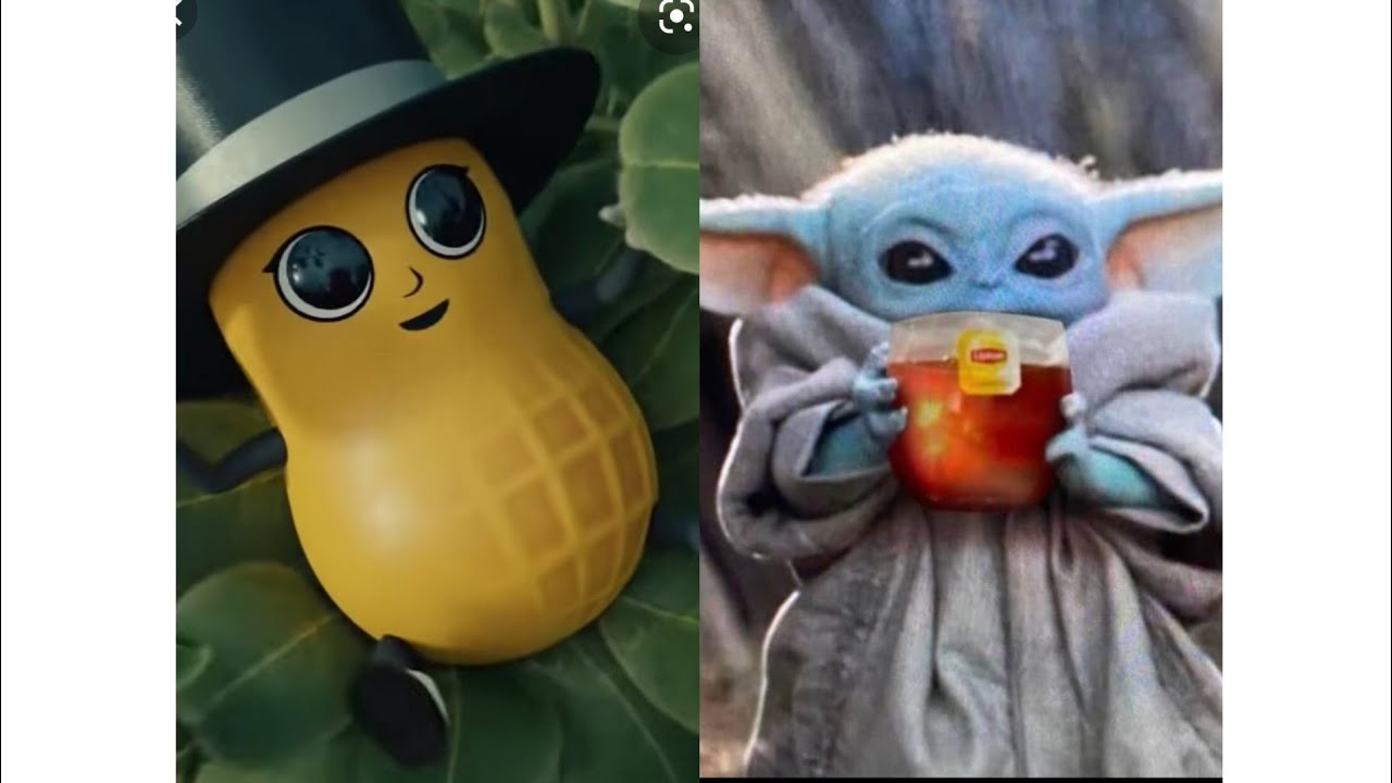 Baby Yoda VS. Baby Nut meme compilation