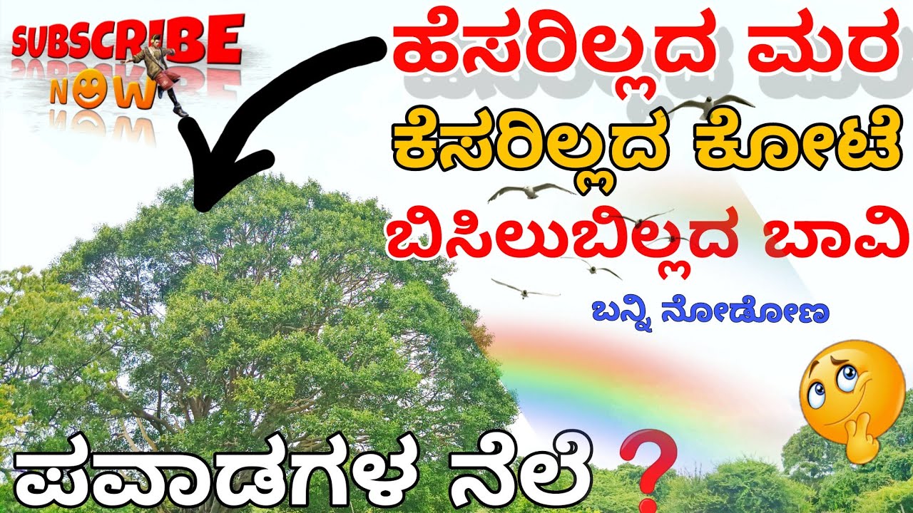 || ಶ್ರೀ ಚಂದಾಲಿಂಗೇಶ್ವರನ ದೇವಸ್ಥಾನ ಚಂದರಗಿ || ಪವಾಡಗಳ ಸ್ಥಳ 😯#mitraloka #historical 