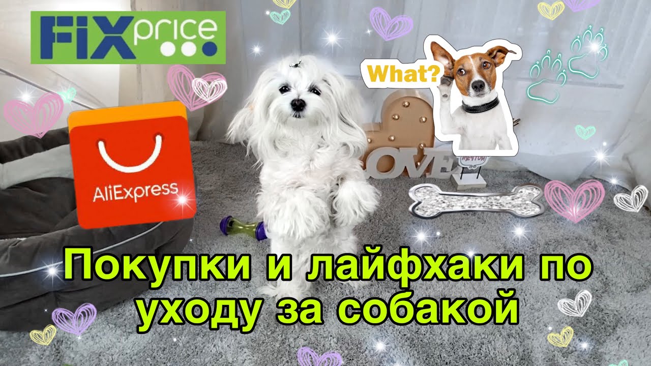 Покупки для собак с Aliexpress, Fix Price, многоразовые пеленки, лайфхаки в уходе за мальтезе