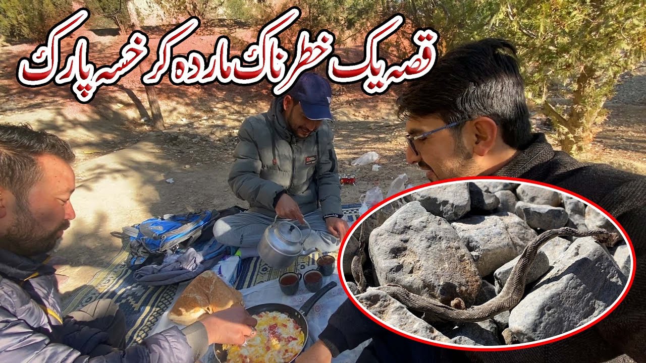 Found a Cobra Snake Dead in Karkhasa National Park Quetta | Time News Quetta