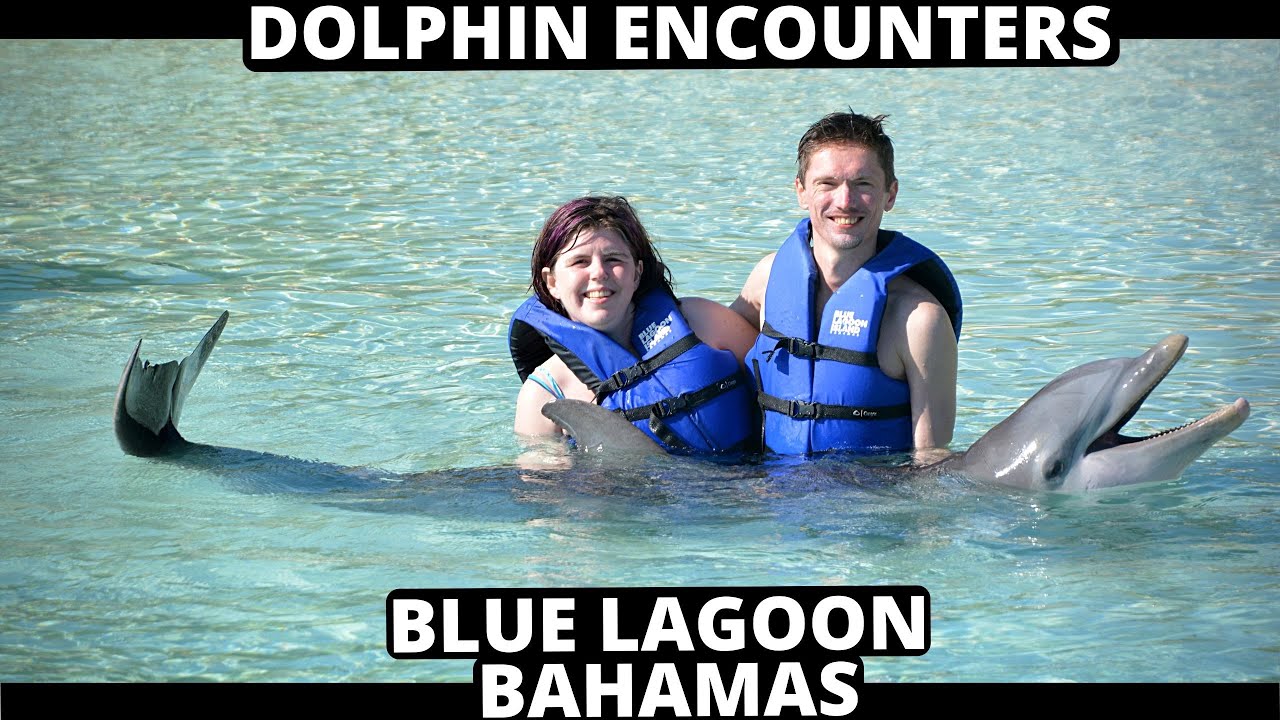 Dolphin Encounters - Bahamas Blue Lagoon - Royal Dolphin Swim - 2019