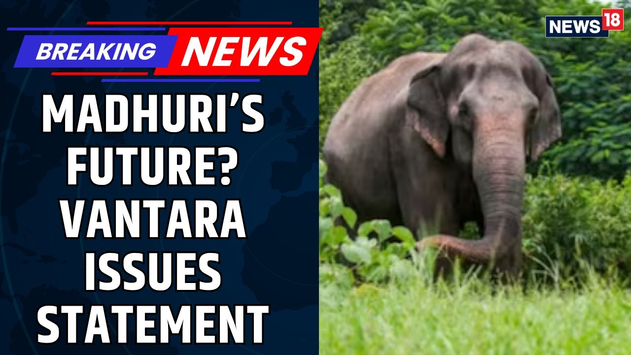 Vantara On Concerns Over Elephant Madhuri, Acknowledges Her Cultural Significance To Jain Math
