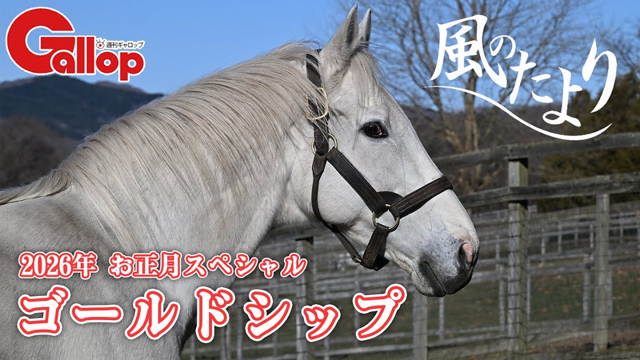 【風のたより お正月スペシャル】ゴールドシップ