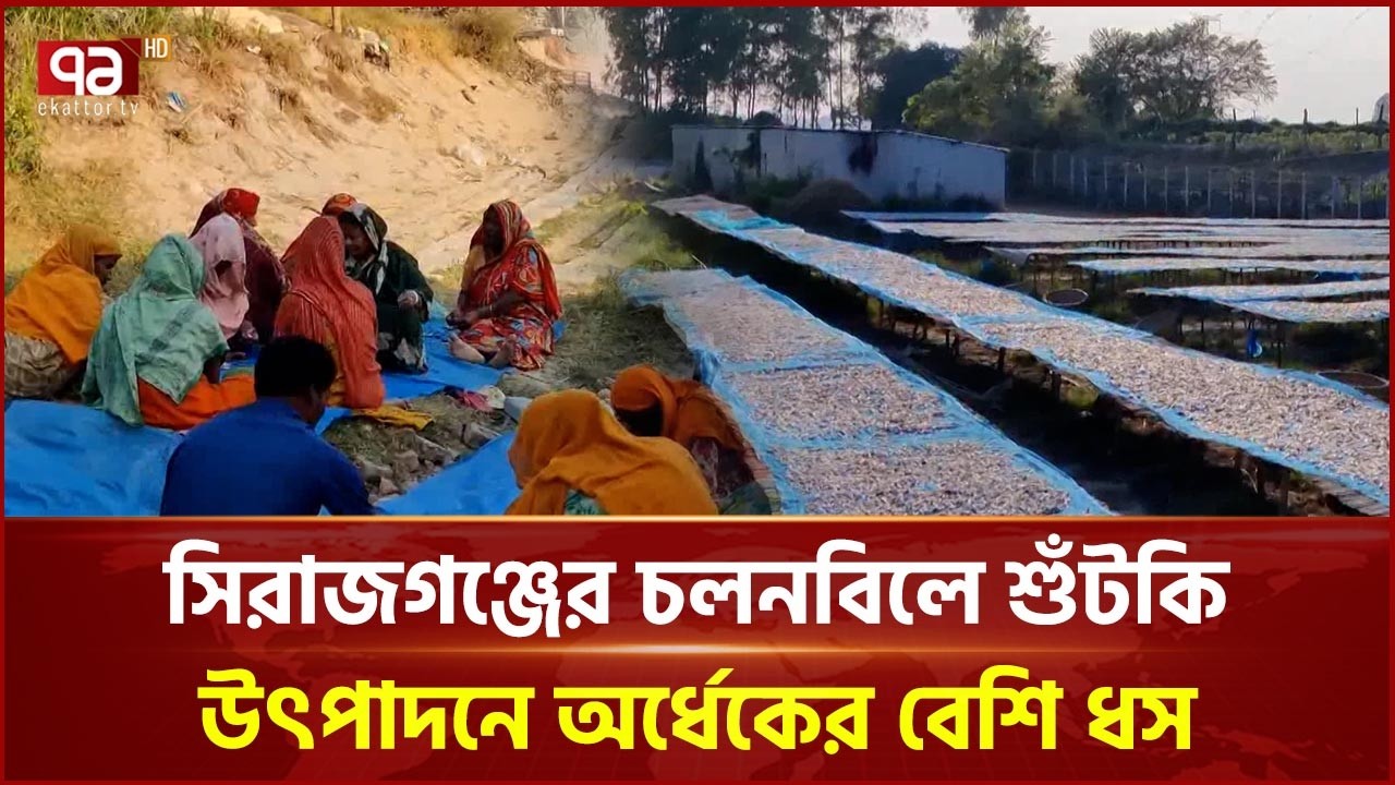 দেশীয় মাছের সঙ্কট ও চায়না দোয়ারি জালের দৌরাত্ম্যে সিরাজগঞ্জে শুঁটকি কমেছে অর্ধেক  | Ekattor TV