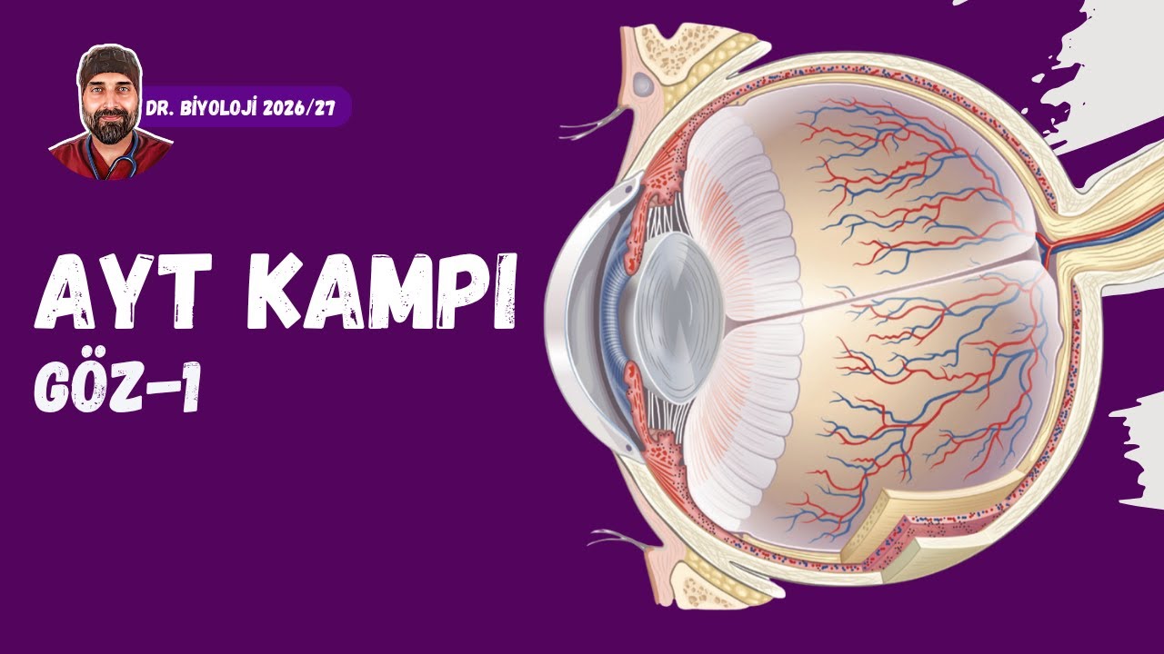 Duyu Organları Göz-1 | Dr. Biyoloji | AYT Dönem 2026 - 2027