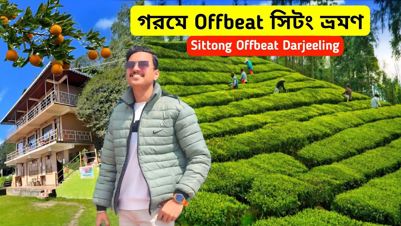 Sittong Tour 2025 | Sittong Tour Guide | Sittong Homestay | Sittong Darjeeling Tour | Orange Garden