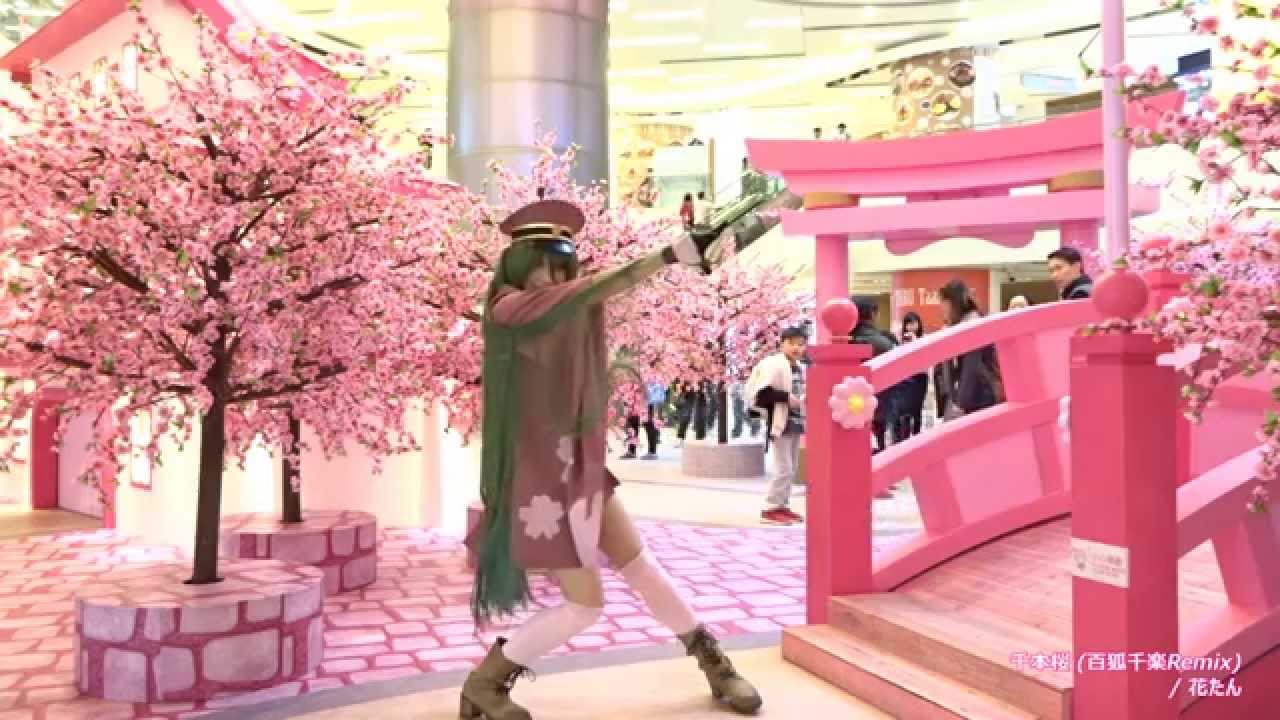 【踊ってみた】千本桜(百狐千楽Remix) / 花たん【スタファ振り付け】