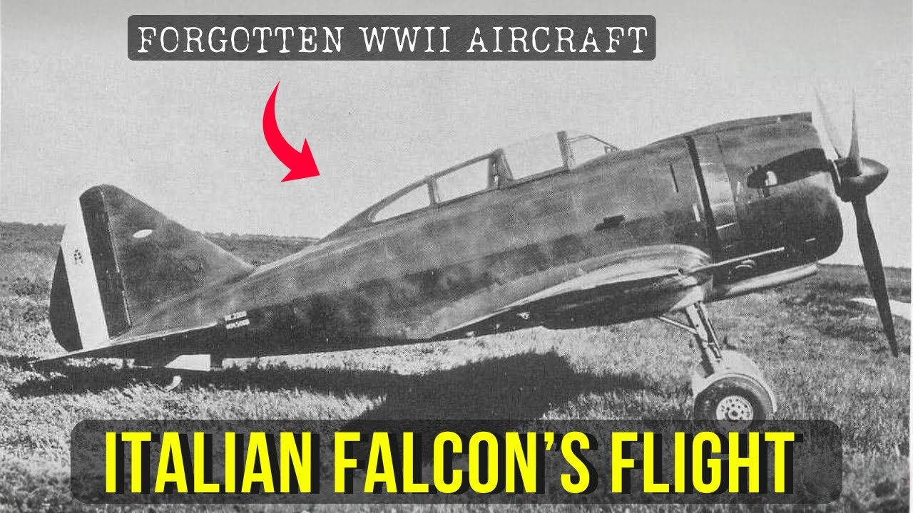 The Italian Fighter That Outflew The Bf 109 but Failed at Home | Reggiane Re.2000 Falco I