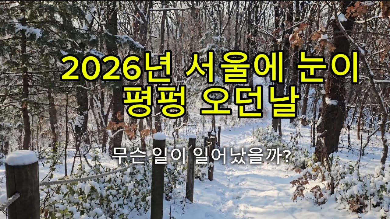 [등산브이로그]