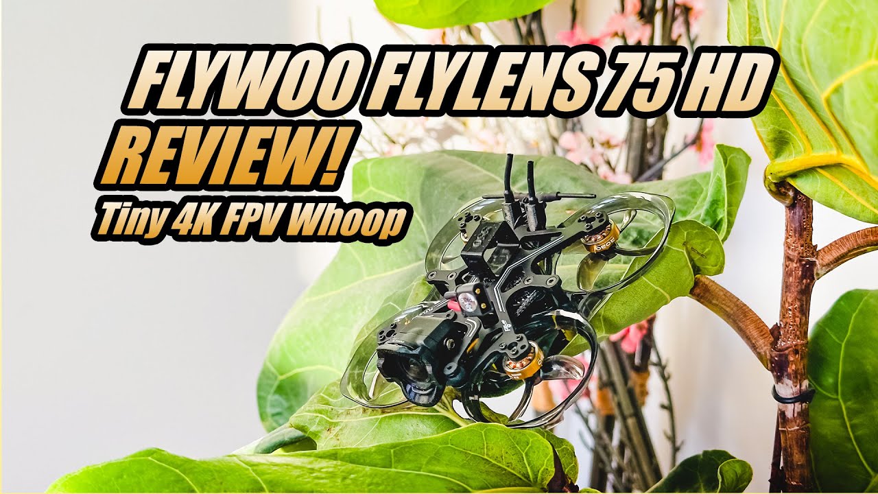 Flywoo FlyLens 75 Review! Super Fun, Compact, Lightweight 1.6'' FPV Drone!