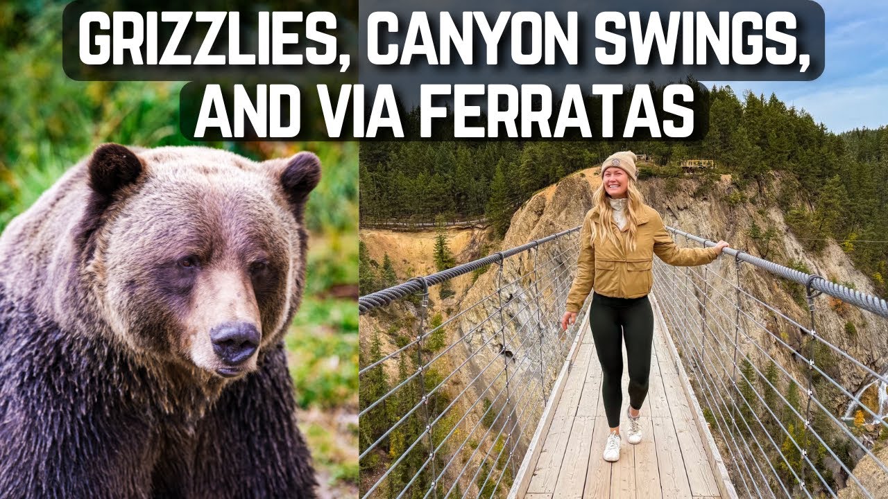 The BEST Things To Do in Golden, BC!