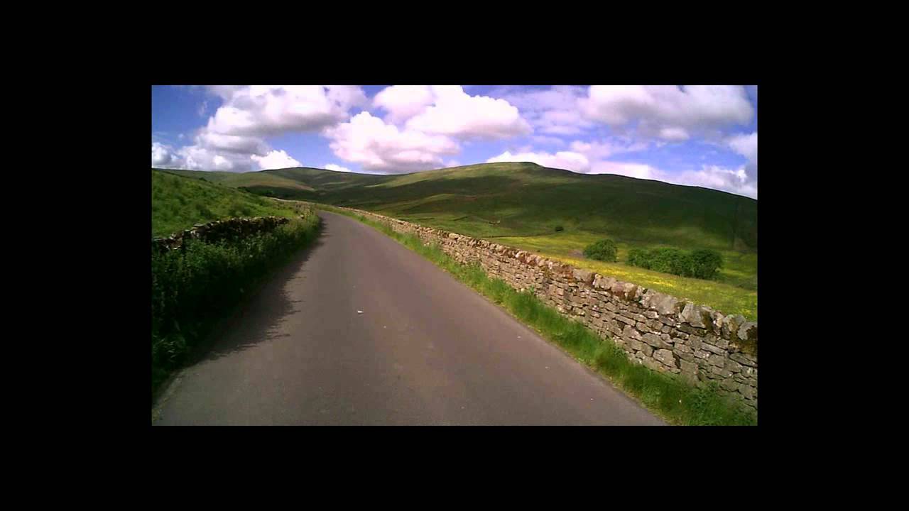 Fleet Moss