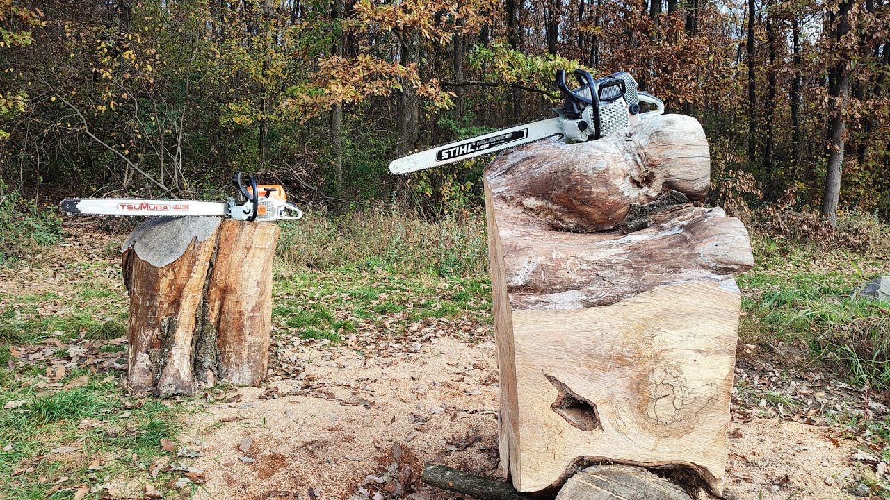 Stihl MS 462 & FarmerTec G660 pro - autumn fun