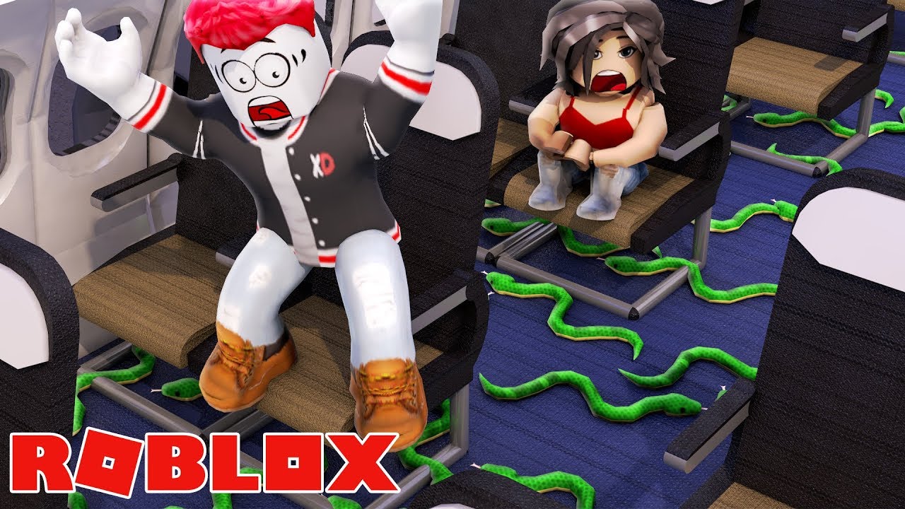 ROBLOX FLUGZEUG HORROR STORY!