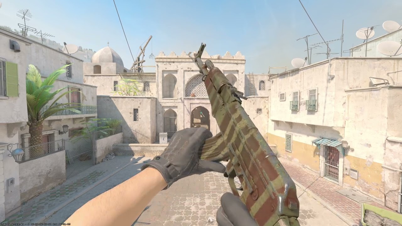 AK-47 Predator (Field-Tested) In Game Showcase - Dust Collection | CS2