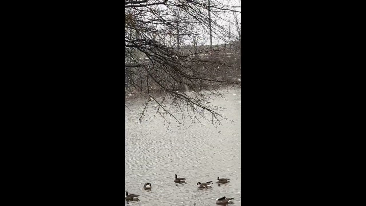 Snow squall hits Central New Jersey