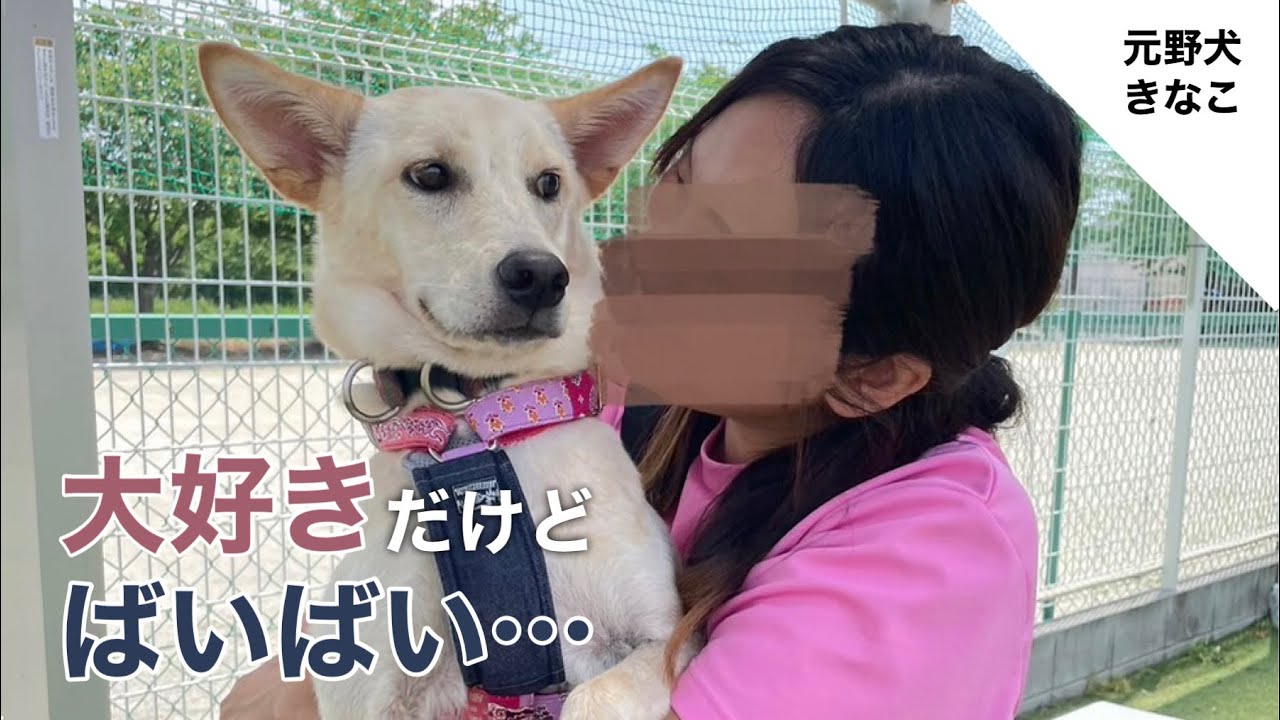 皮膚病と手術を乗り越えて掴んだ【最高のご縁🌸】