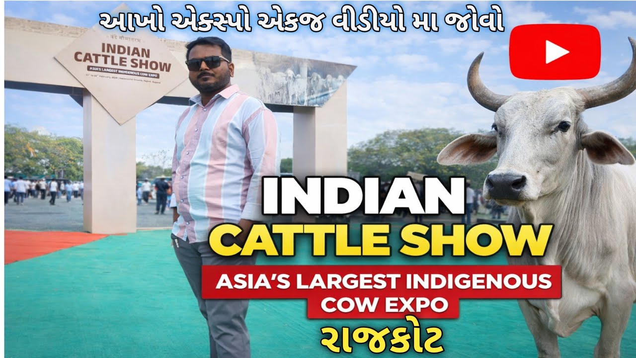 Indian cattle show 🔥 Rajkot ❤️ Asia's largest indigenous cow expo ❤️ rajkot expo 