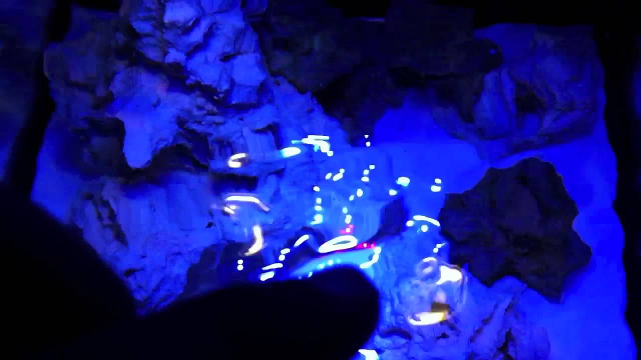 Deep Blue Rimless Cube nano reef build