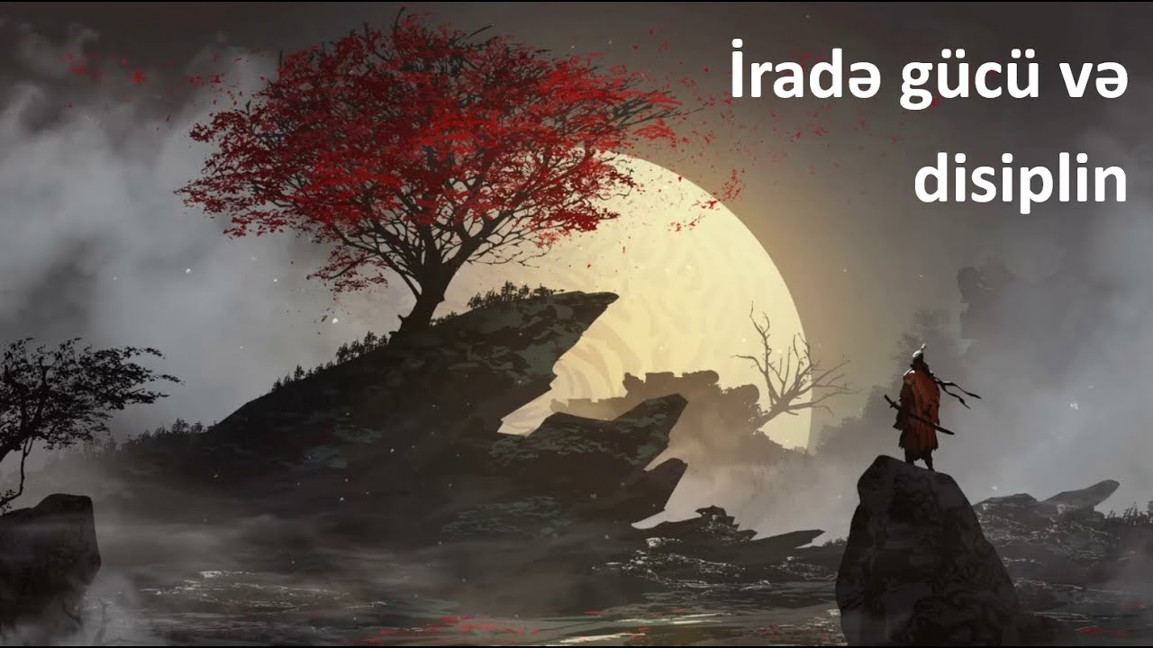 İradə gücü və disiplin mövzusunda dərsdə çıxışım