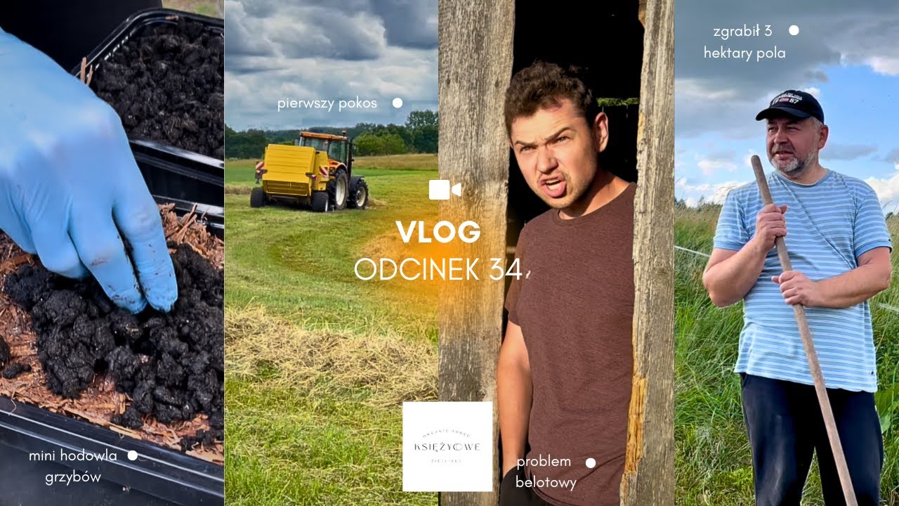 ODCINEK 34: NASZE PIERWSZE SIANOKOSY | AFERA Z PANEM TATĄ | ROZPOCZYNAMY HODOWLĘ GRZYBÓW 🍄🚜🧑🏼‍🌾