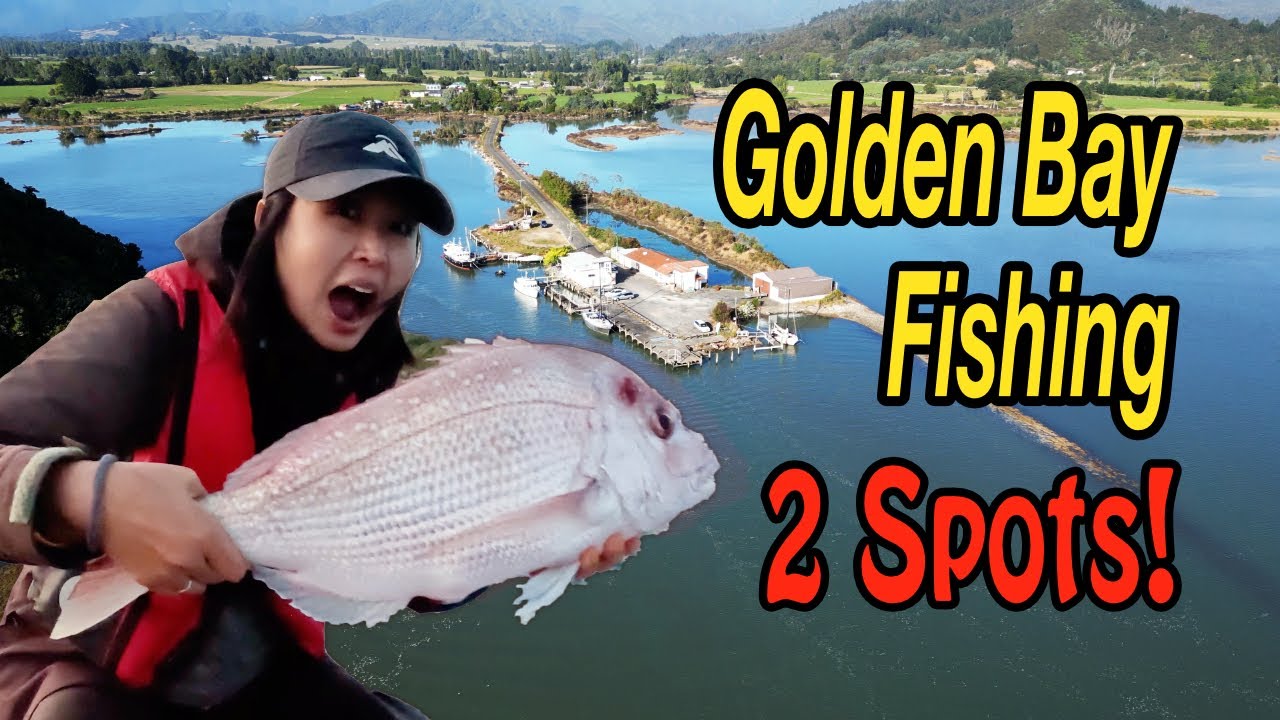 Two Great Fishing Spots In Golden Bay For Small Boats! NZ Snapper Fishing