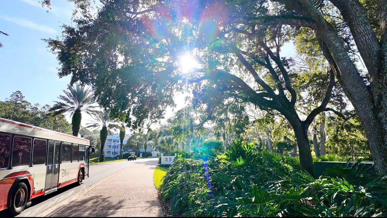 A Quiet December Morning at Walt Disney World | Ride & Walk With Me 🎄