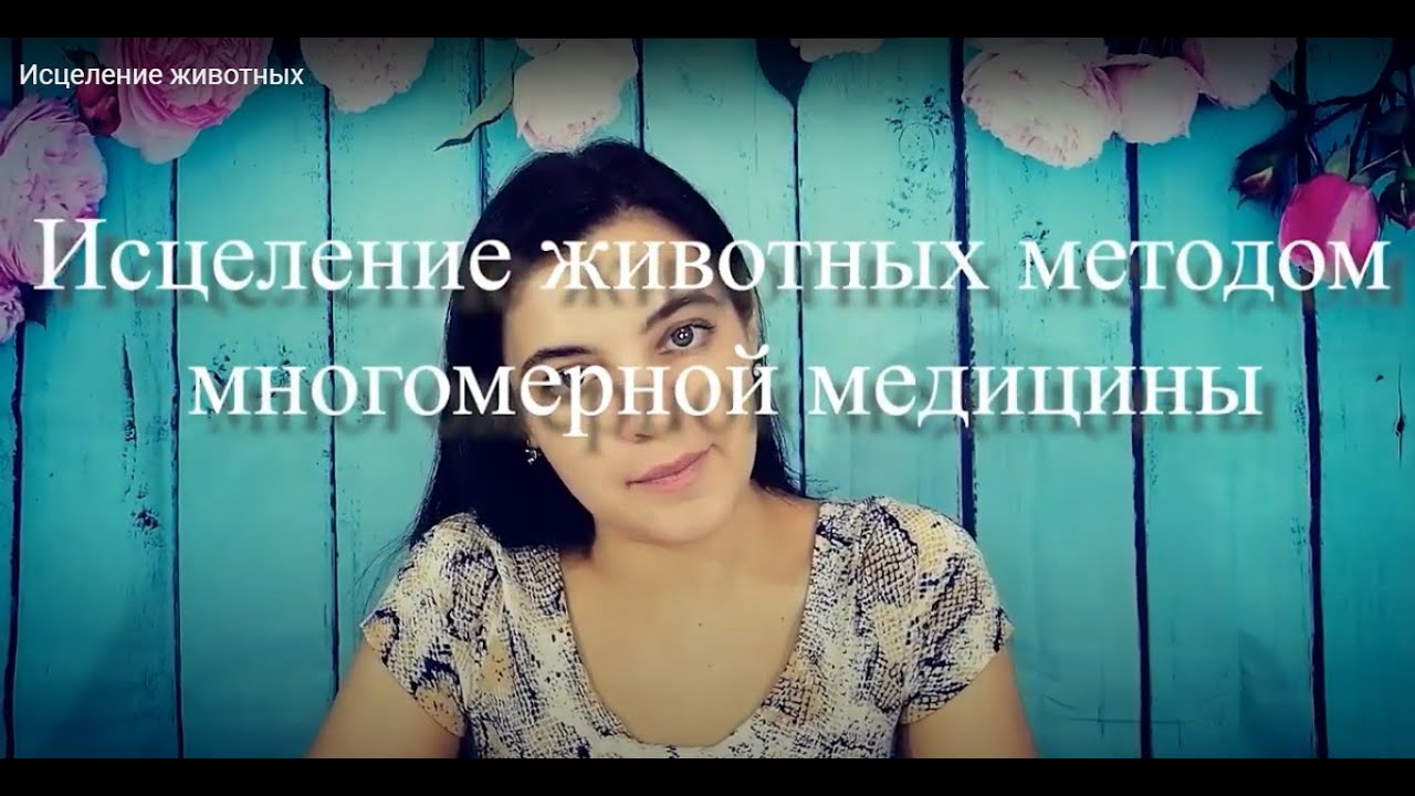 Исцеление животных методом многомерной медицины.